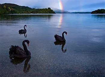 Solitaire Lodge Rotorua Nový Zéland